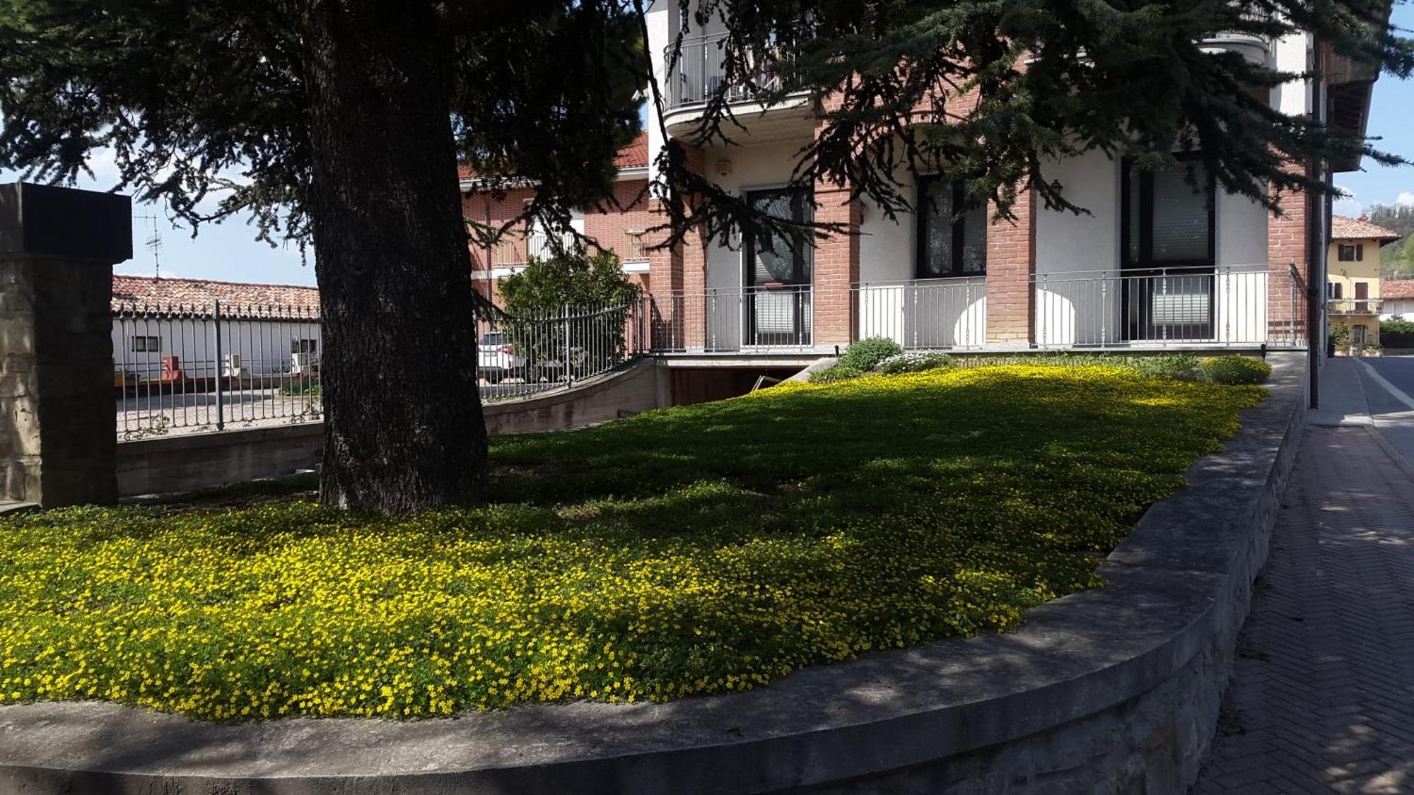 Residence La Quiete Alba  Zewnętrze zdjęcie